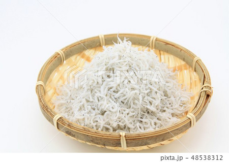 しらす しらす 48538312