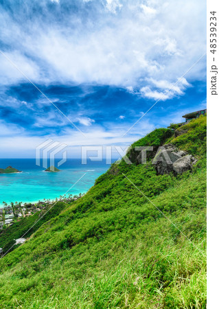 ハワイ オアフ島 ラニカイピルボックストレイルからの風景 ハワイ オアフ島 ラニカイピルボックストレイルからの風景 48539234