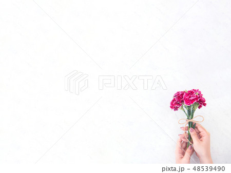 花 フラワー お花 48539490