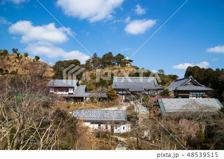 麻綿原高原 麻綿原高原 48539515