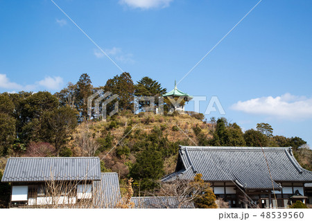 麻綿原高原 麻綿原高原 48539560