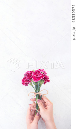 花 フラワー お花 48539572