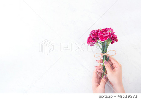 平面図 花 フラワー 48539573
