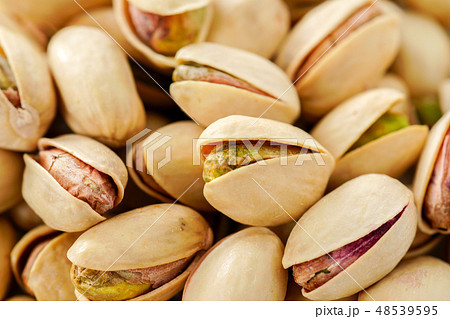 素焼きのピスタチオ 48539595