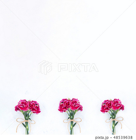 花 フラワー お花 48539638