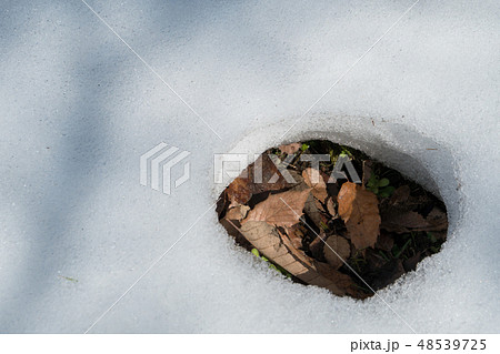 雪解け　穴 48539725