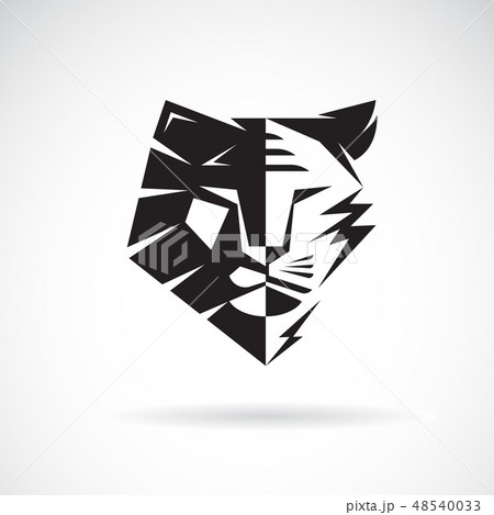 Vector of half face lion and half face tiger. Vector of half face lion and half face tiger. 48540033