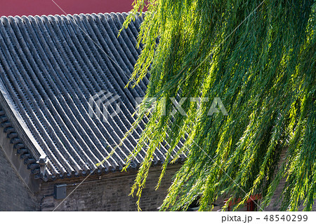 空 エーテル 大空 48540299