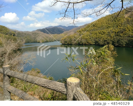 石手川ダム湖 3 石手川ダム湖 3 48540329