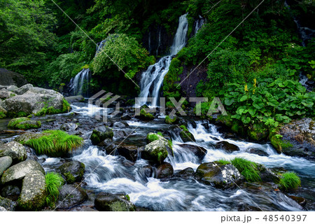 山梨県北杜市 清里高原 吐竜の滝 山梨県北杜市 清里高原 吐竜の滝 48540397