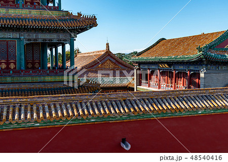 紫禁城 故宮 故宮博物院 48540416