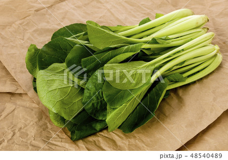 小松菜 クラフト紙背景 48540489