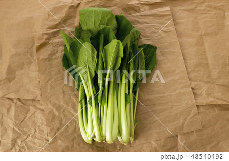 小松菜 クラフト紙背景 48540492
