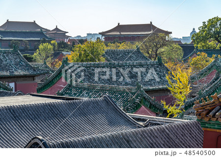 北京 紫禁城 故宮 48540500