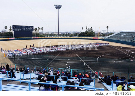 オロナミンc球場の写真素材 オロナミンc球場の写真素材