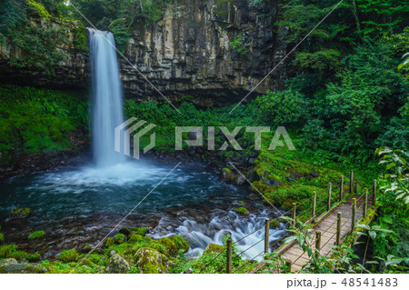 【静岡県】　萬城の滝　伊豆 48541483