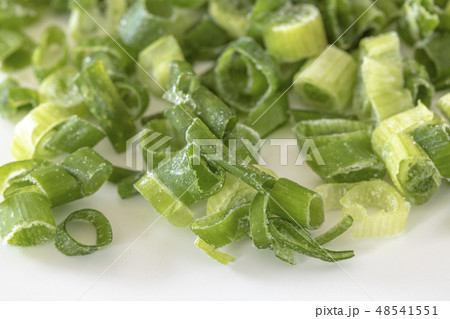 切って冷凍したネギ 48541551