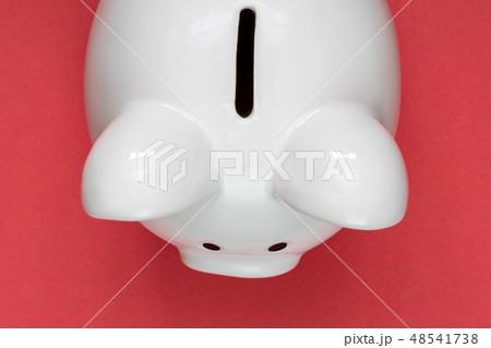 Piggy bank on red background Piggy bank on red background 48541738