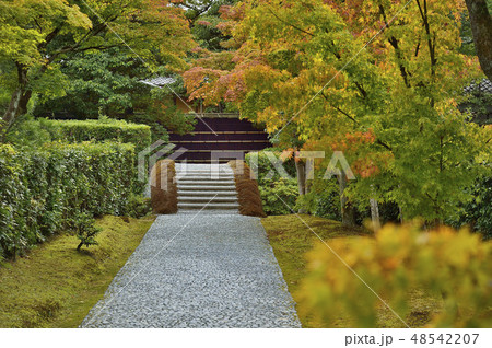 桂離宮　御幸道　霰こぼし　京都 48542207