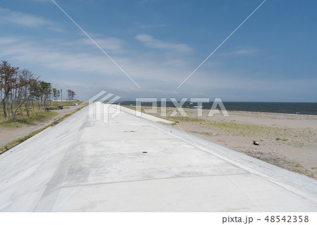 防潮堤　東松島市　野蒜　津波　防災　減災 48542358