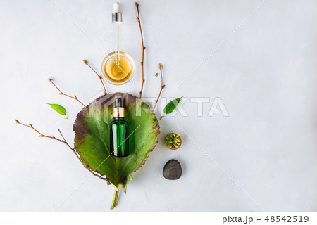 Organic Spa Cosmetic With Herbal Ingredients. Vegetable serum for skin. glass bottle with a pipette Organic Spa Cosmetic With Herbal Ingredients. Vegetable serum for skin. glass bottle with a pipette 48542519