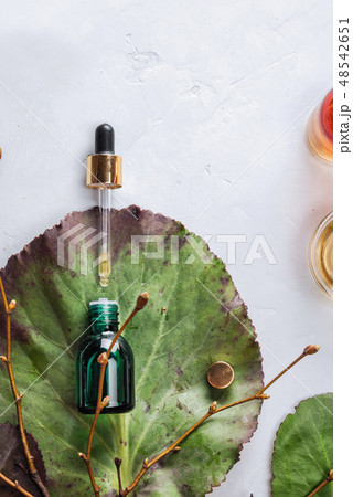 Herbal extract, essential oil, serum in a vial on a green leaf. The concept of natural cosmetics. Herbal extract, essential oil, serum in a vial on a green leaf. The concept of natural cosmetics. 48542651