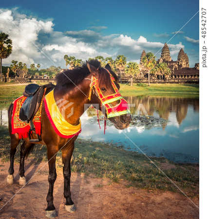 Angkor Wat temple at sunset. Siem Reap. Cambodia Angkor Wat temple at sunset. Siem Reap. Cambodia 48542707
