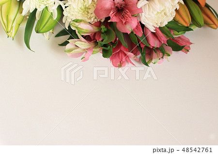 お供え花 48542761