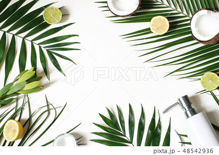 Styled beauty frame, web banner. Skin cream, soap bottle, coconut, lemons and lime fruit on lush Styled beauty frame, web banner. Skin cream, soap bottle, coconut, lemons and lime fruit on lush 48542936