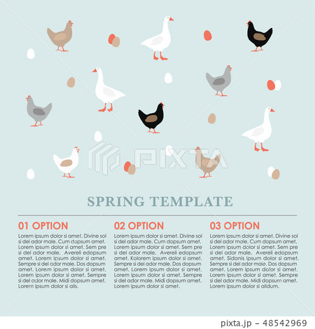 Spring infographics background, card with hens, goose and colorful Easter eggs. Vector illustration 48542969