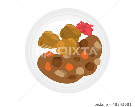 カレーライス 48543681