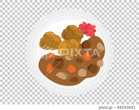 カレーライス 48543681