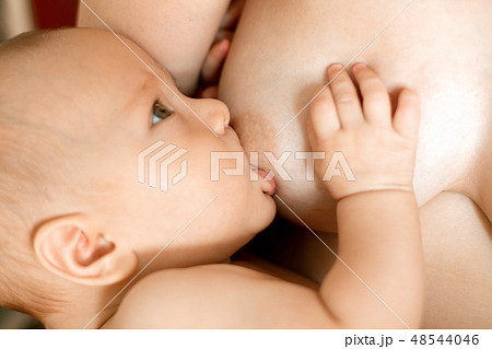 Mother Breast Feeding Baby Mother Breast Feeding Baby 48544046