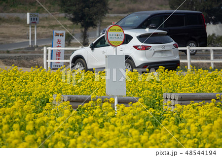 道の駅「笠岡ベイファーム」～菜の花2019～ 48544194