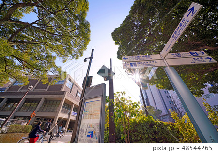 日本の横浜都市景観 太陽光や横浜市役所、サイン(山下公園・中華街、横浜スタジアム…)などを望む 日本の横浜都市景観 太陽光や横浜市役所、サイン(山下公園・中華街、横浜スタジアム…)などを望む 48544265