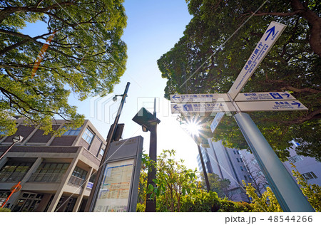 日本の横浜都市景観　太陽光や横浜市役所、サイン（山下公園・中華街、横浜スタジアム…）などを望む 48544266