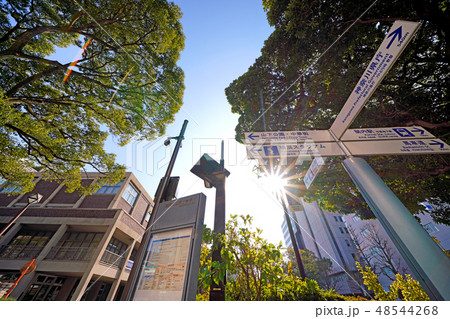日本の横浜都市景観　太陽光や横浜市役所、サイン（山下公園・中華街、横浜スタジアム…）などを望む 48544268