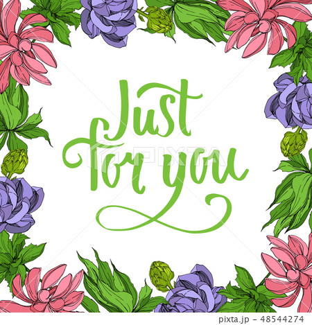 Vector Jungle botanical succulent flower. Engraved ink art illustration. Frame border ornament 48544274