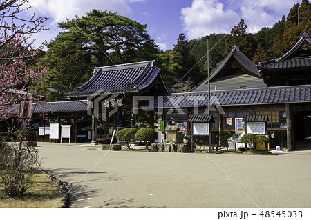山口 山口市 瑠璃光寺 山門 山口 山口市 瑠璃光寺 山門 48545033