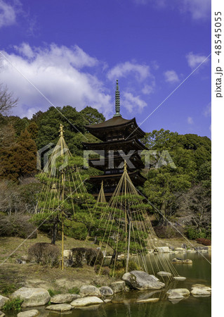 山口　山口市　瑠璃光寺　五重塔 48545055