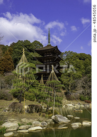 山口　山口市　瑠璃光寺　五重塔 48545056