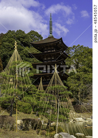 山口　山口市　瑠璃光寺　五重塔 48545057