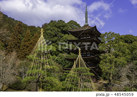 山口　山口市　瑠璃光寺　五重塔 48545059