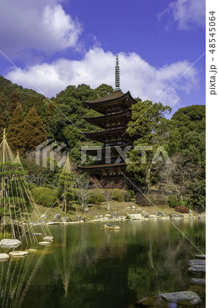 山口 山口市 瑠璃光寺 五重塔 山口 山口市 瑠璃光寺 五重塔 48545064