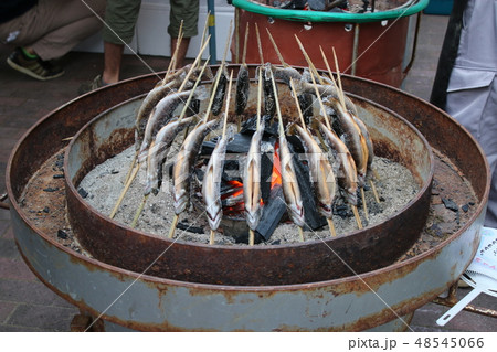 焼き魚 焼き魚 48545066