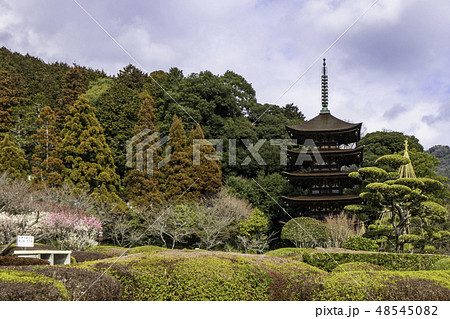 山口 山口市 瑠璃光寺 五重塔 山口 山口市 瑠璃光寺 五重塔 48545082
