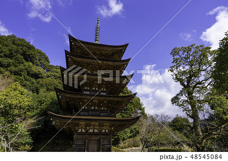 山口 山口市 瑠璃光寺 五重塔 山口 山口市 瑠璃光寺 五重塔 48545084