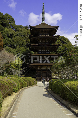 山口 山口市 瑠璃光寺 五重塔 山口 山口市 瑠璃光寺 五重塔 48545090