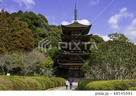山口　山口市　瑠璃光寺　五重塔 48545091