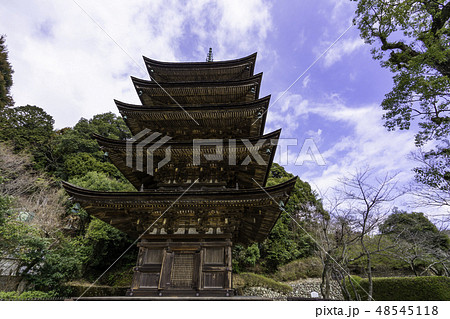 山口　山口市　瑠璃光寺　五重塔 48545118